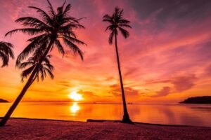 Read more about the article How to Plan a Stress-Free Luxury Vacation